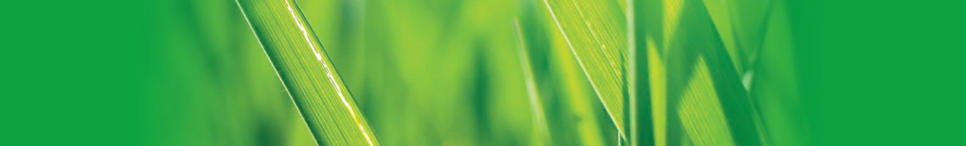 groenHeader