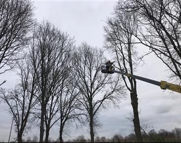 19 01 17 bomen zagen voetbal Wagenberg 05